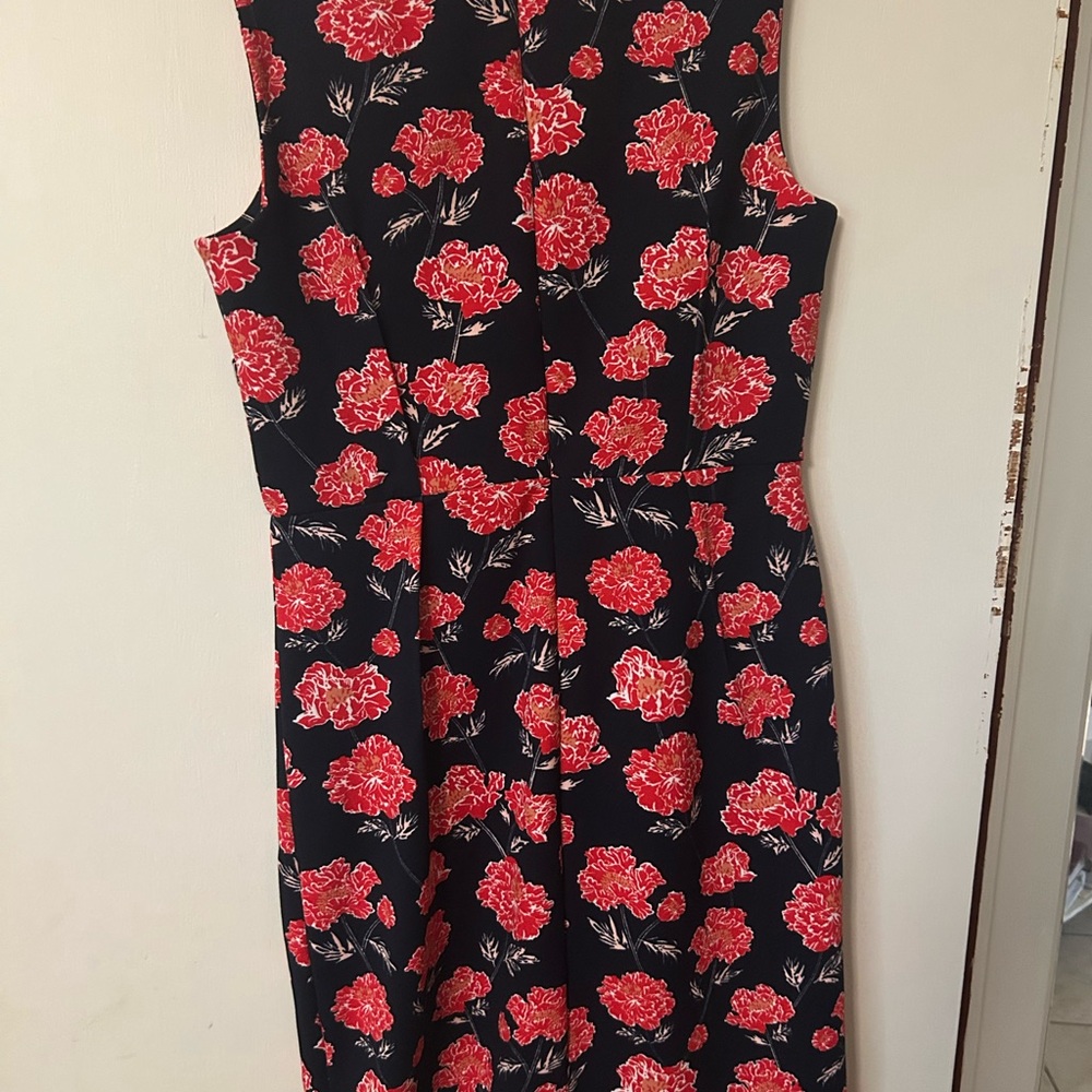 Banana Republic Black Dress with Red Floral Design